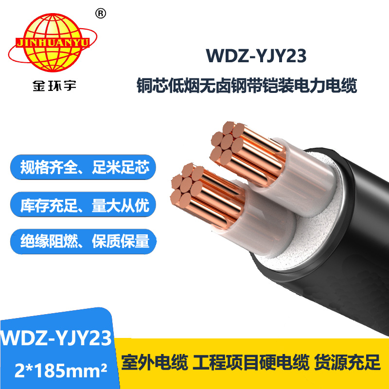 金环宇 铠装电缆 WDZ-YJY23-2X185平方 低烟无卤铜芯交联电缆