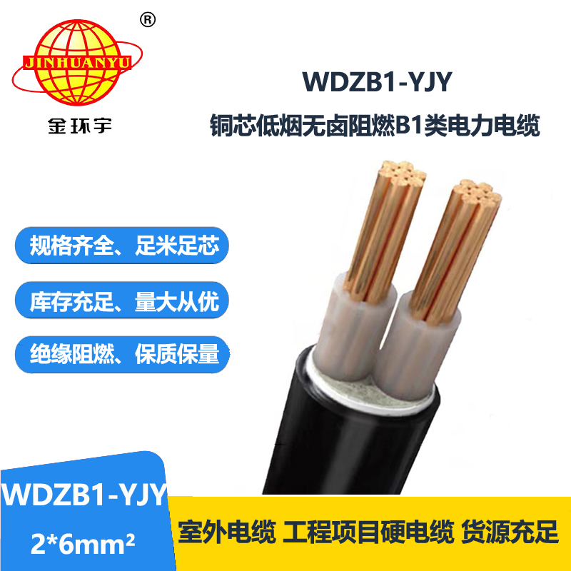 金环宇电线电缆 阻燃B1类电缆 WDZB1-YJY 2X6平方 低