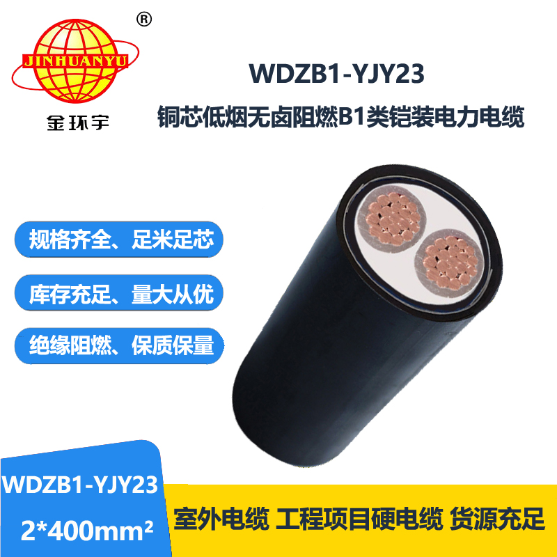 金环宇 低烟无卤铜芯电缆WDZB1-YJY23-2X400平方 b1类