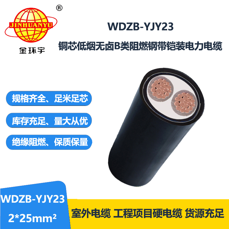 金环宇电缆 2芯电力电缆 b级阻燃低烟无卤电缆WDZB-YJY23-2X25平方